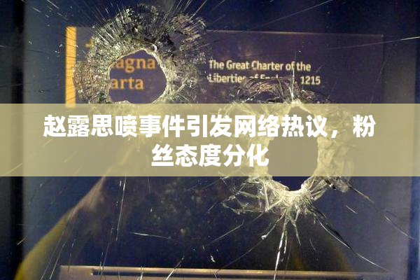 赵露思喷事件引发网络热议，粉丝态度分化