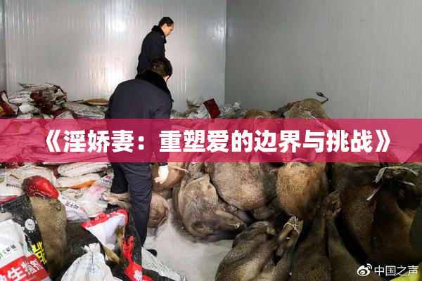 《淫娇妻：重塑爱的边界与挑战》