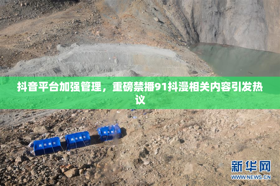 抖音平台加强管理，重磅禁播91抖漫相关内容引发热议