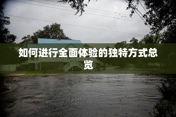如何进行全面体验的独特方式总览
