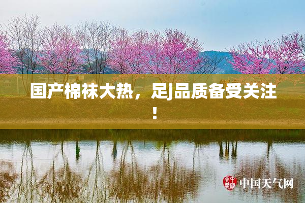 国产棉袜大热，足j品质备受关注！