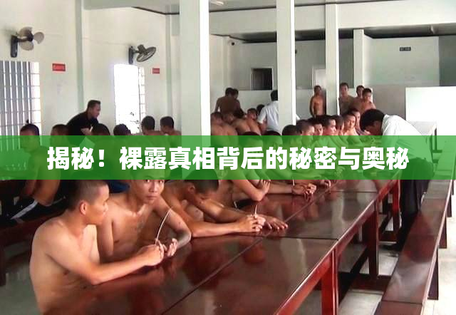 揭秘！裸露真相背后的秘密与奥秘