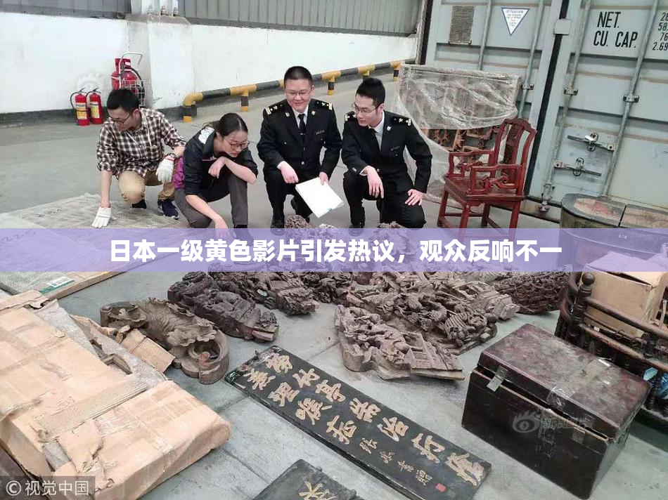 日本一级黄色影片引发热议，观众反响不一