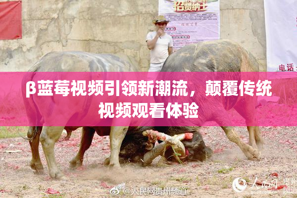 β蓝莓视频引领新潮流，颠覆传统视频观看体验