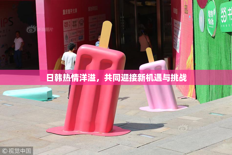 日韩热情洋溢，共同迎接新机遇与挑战