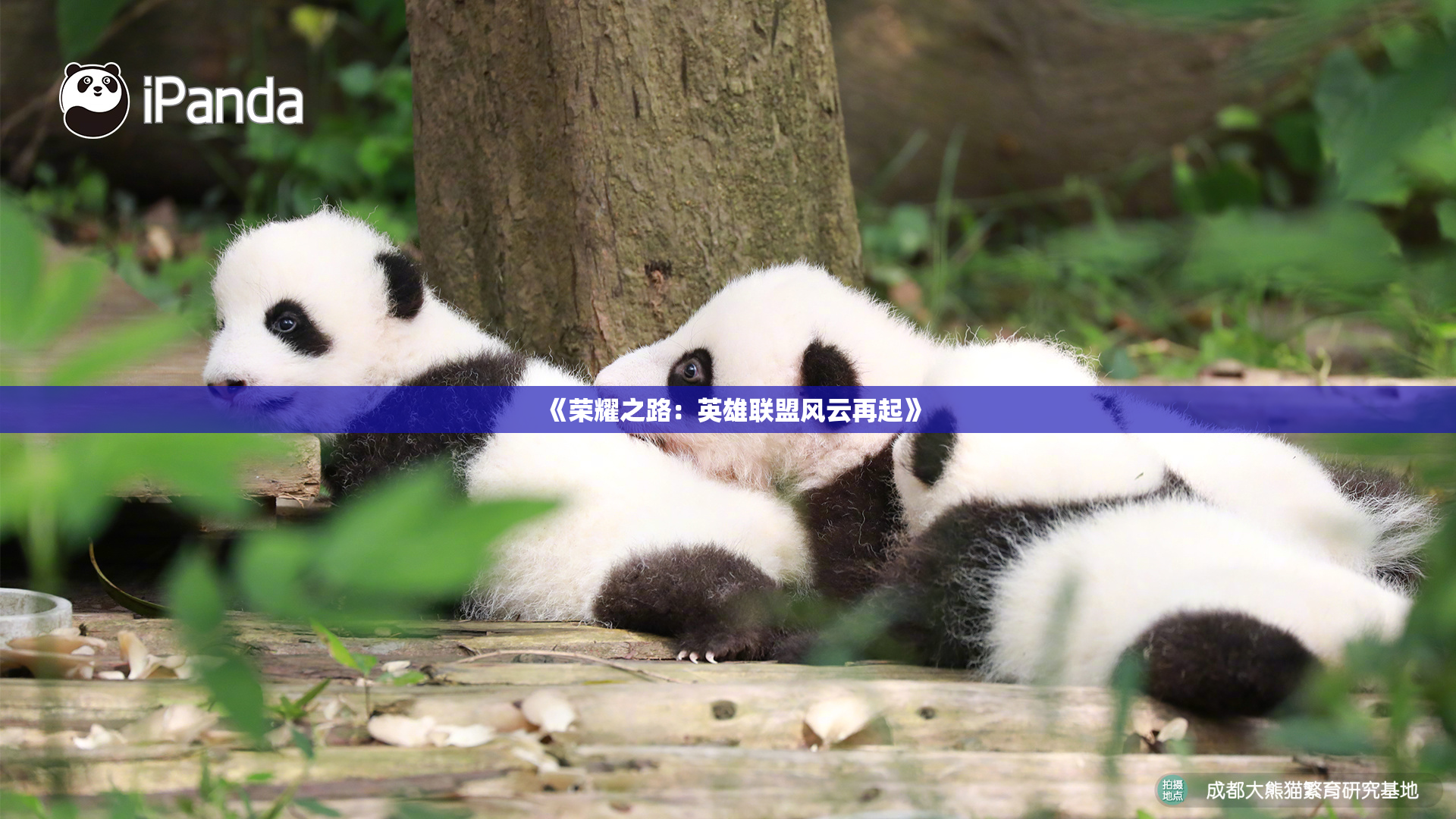 《荣耀之路：英雄联盟风云再起》
