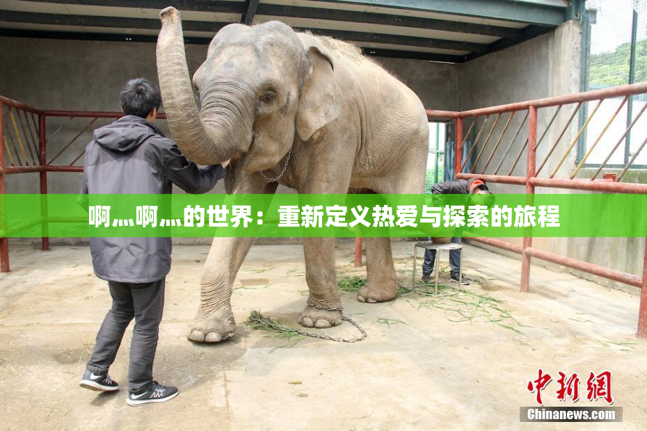 啊灬啊灬的世界：重新定义热爱与探索的旅程
