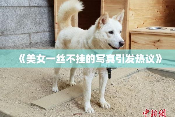 《美女一丝不挂的写真引发热议》