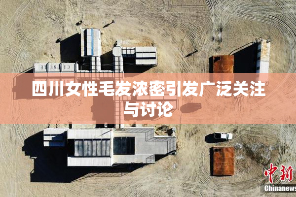 四川女性毛发浓密引发广泛关注与讨论