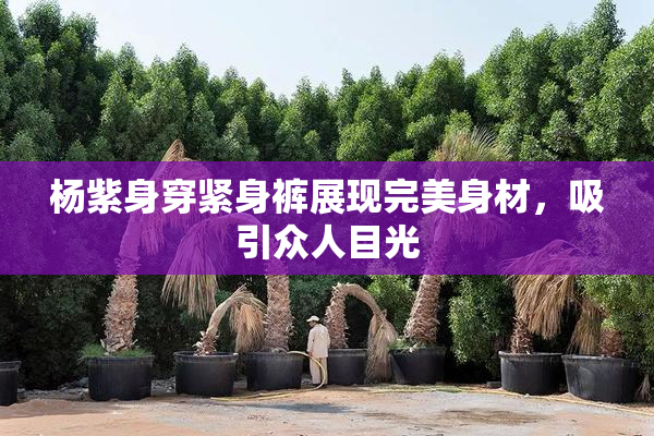 杨紫身穿紧身裤展现完美身材，吸引众人目光