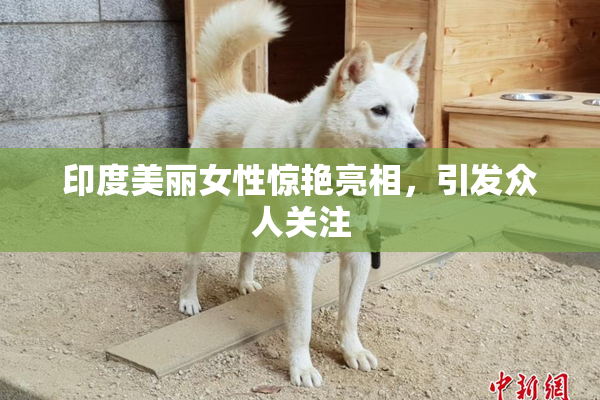 印度美丽女性惊艳亮相，引发众人关注