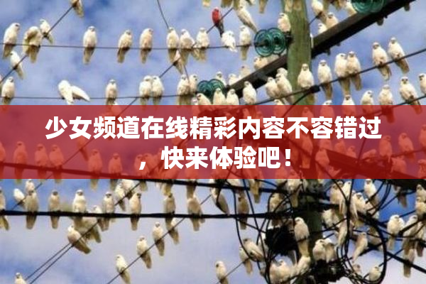 少女频道在线精彩内容不容错过，快来体验吧！