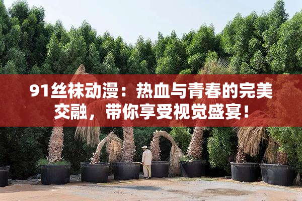 91丝袜动漫：热血与青春的完美交融，带你享受视觉盛宴！