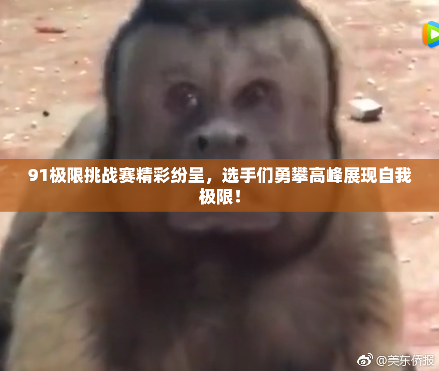 91极限挑战赛精彩纷呈，选手们勇攀高峰展现自我极限！