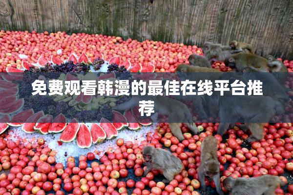 免费观看韩漫的最佳在线平台推荐