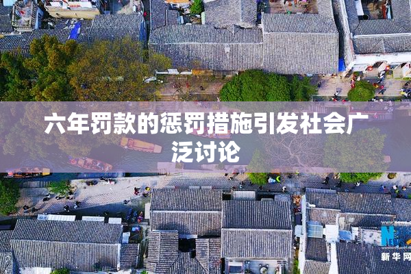 六年罚款的惩罚措施引发社会广泛讨论