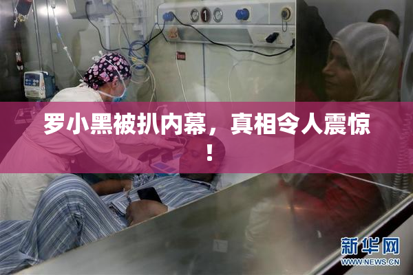 罗小黑被扒内幕，真相令人震惊！