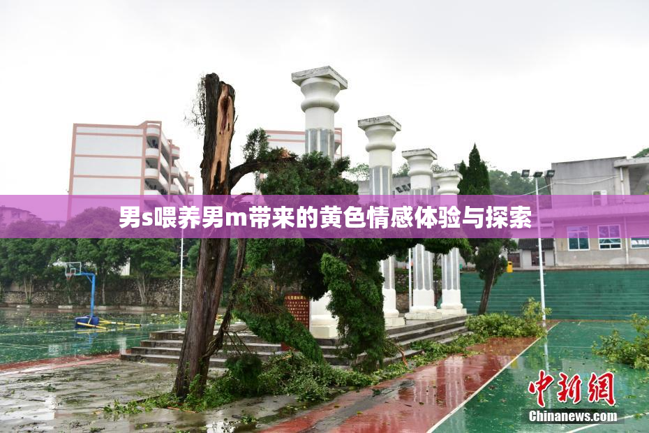 男s喂养男m带来的黄色情感体验与探索