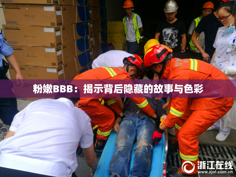 粉嫩BBB：揭示背后隐藏的故事与色彩