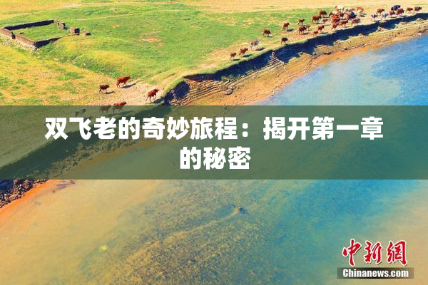 双飞老的奇妙旅程：揭开第一章的秘密