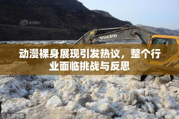 动漫裸身展现引发热议，整个行业面临挑战与反思