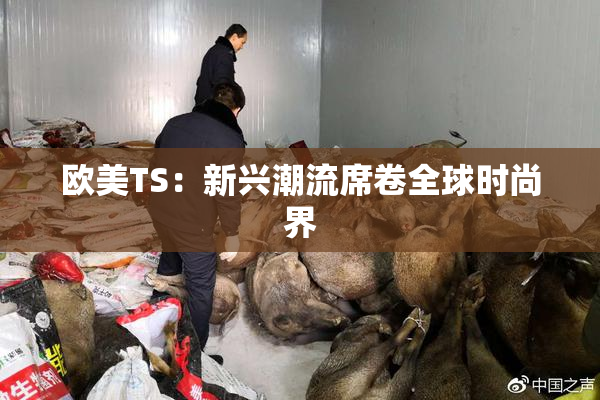欧美TS：新兴潮流席卷全球时尚界