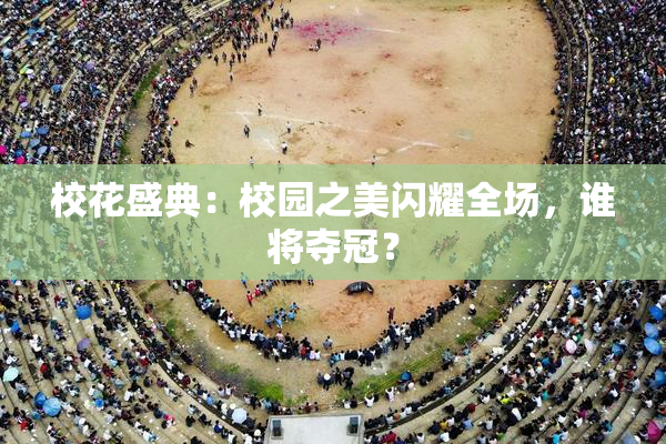 校花盛典：校园之美闪耀全场，谁将夺冠？