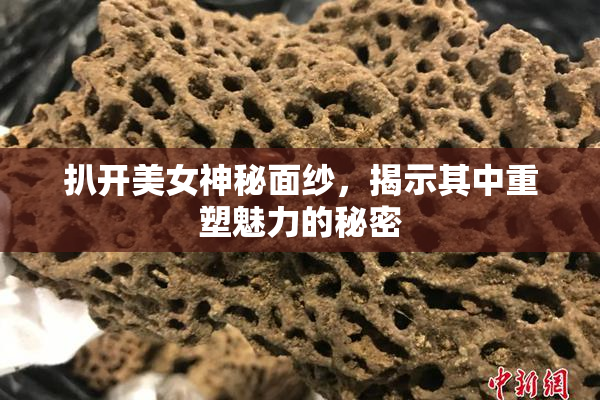 扒开美女神秘面纱，揭示其中重塑魅力的秘密