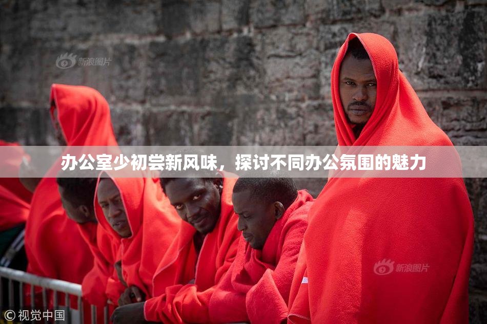 办公室少初尝新风味，探讨不同办公氛围的魅力
