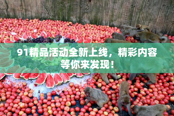 91精品活动全新上线，精彩内容等你来发现！