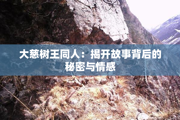 大慈树王同人：揭开故事背后的秘密与情感