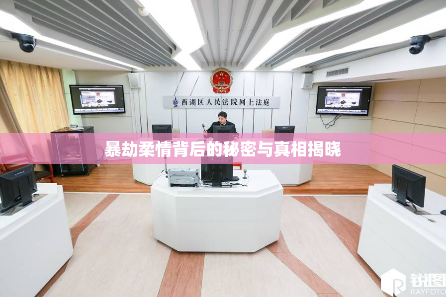 暴劫柔情背后的秘密与真相揭晓