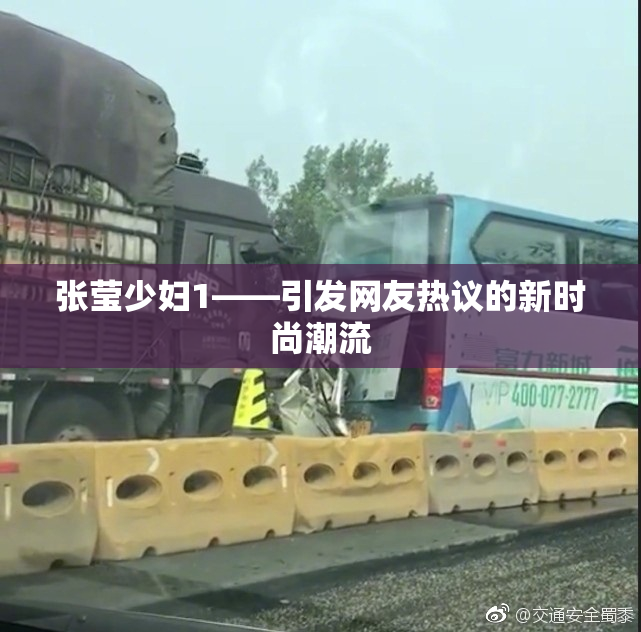张莹少妇1——引发网友热议的新时尚潮流