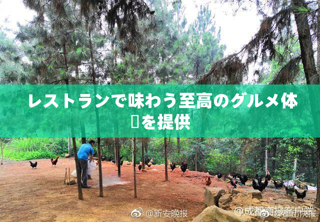 レストランで味わう至高のグルメ体験を提供