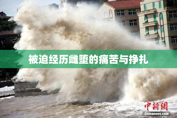 被迫经历雌堕的痛苦与挣扎