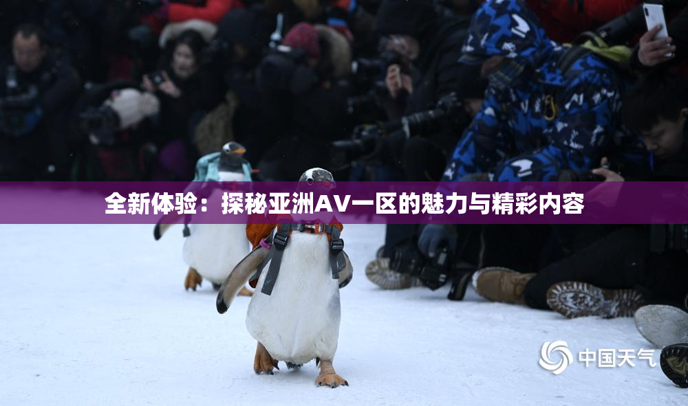 全新体验：探秘亚洲AV一区的魅力与精彩内容
