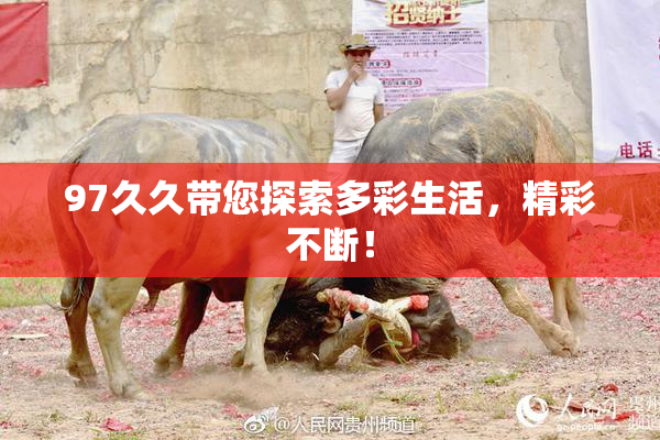 97久久带您探索多彩生活，精彩不断！