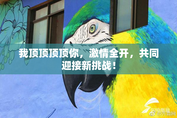 我顶顶顶顶你，激情全开，共同迎接新挑战！