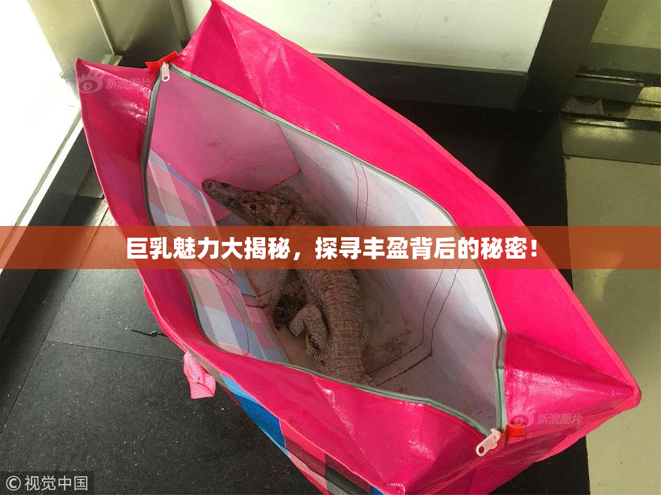 巨乳魅力大揭秘，探寻丰盈背后的秘密！