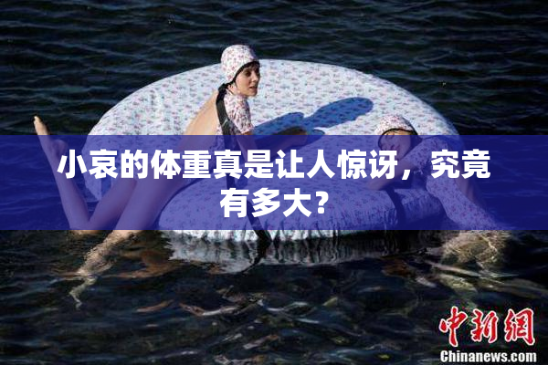 小哀的体重真是让人惊讶，究竟有多大？
