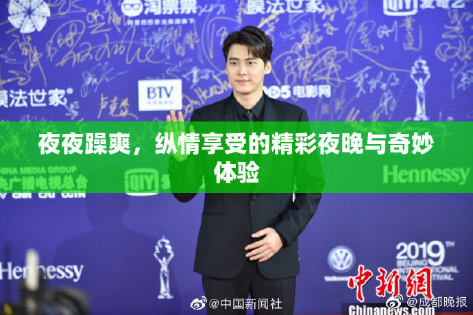 夜夜躁爽，纵情享受的精彩夜晚与奇妙体验