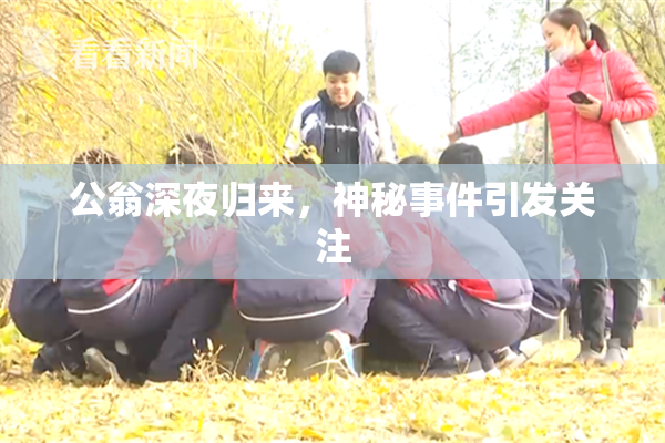 公翁深夜归来，神秘事件引发关注