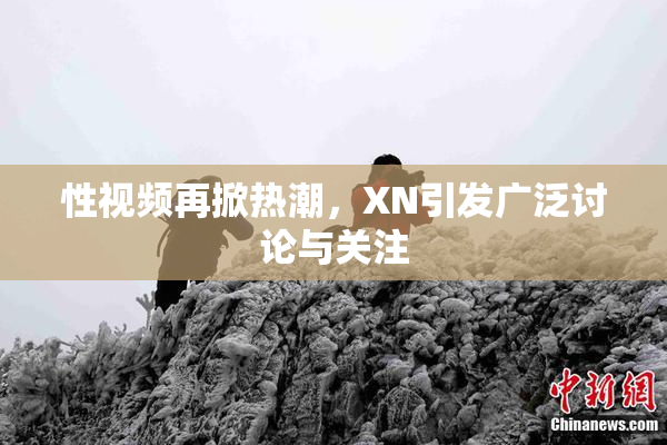 性视频再掀热潮，XN引发广泛讨论与关注