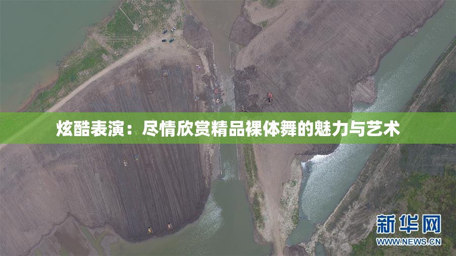 炫酷表演：尽情欣赏精品裸体舞的魅力与艺术