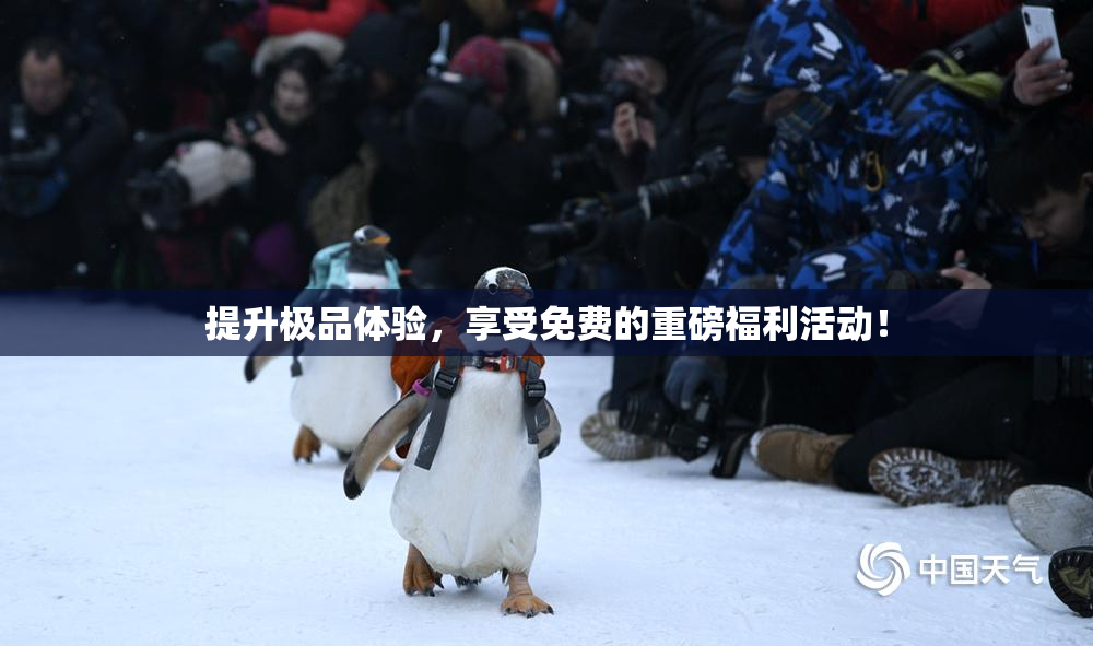 提升极品体验，享受免费的重磅福利活动！