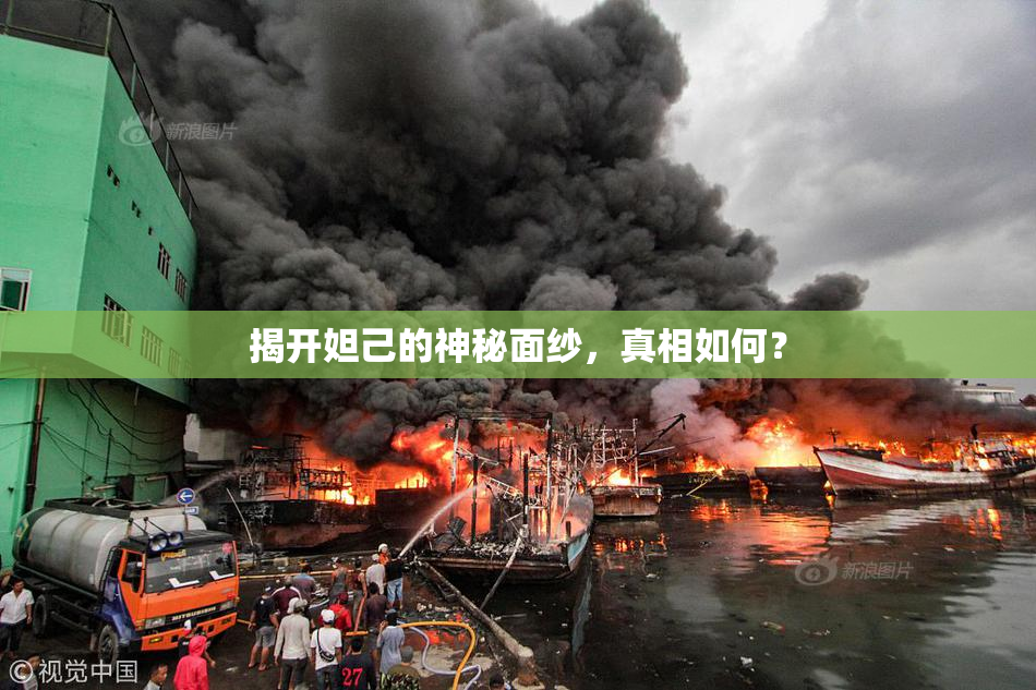 揭开妲己的神秘面纱，真相如何？
