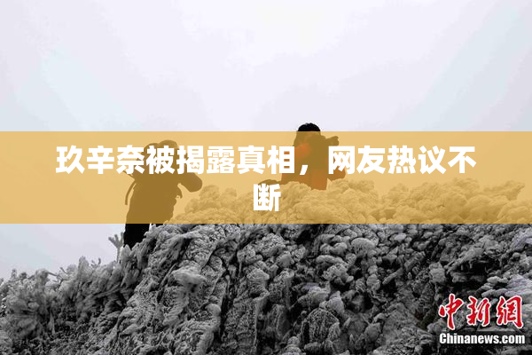 玖辛奈被揭露真相，网友热议不断
