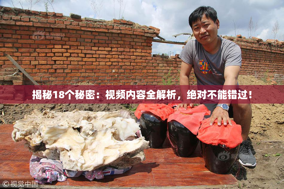 揭秘18个秘密：视频内容全解析，绝对不能错过！