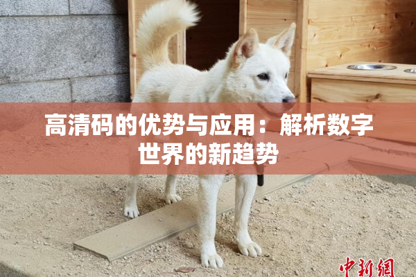 高清码的优势与应用：解析数字世界的新趋势
