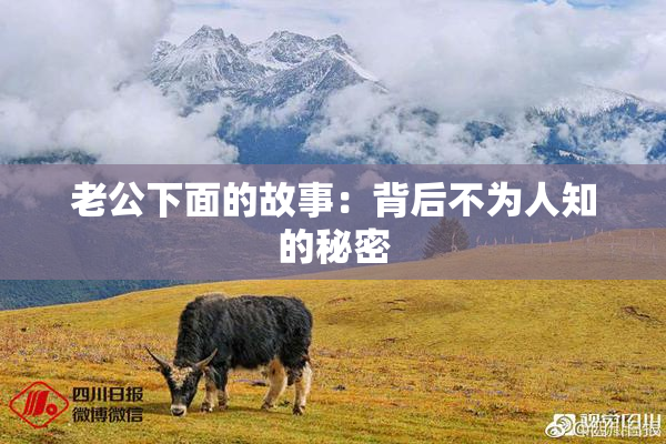 老公下面的故事：背后不为人知的秘密